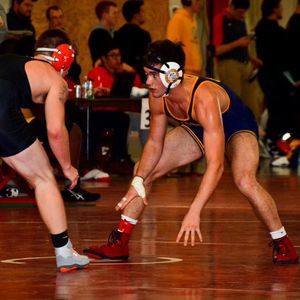 Meet your Posher, Quinn